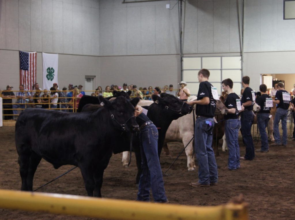 Buffalo County Fair Buffalo County Fairgrounds