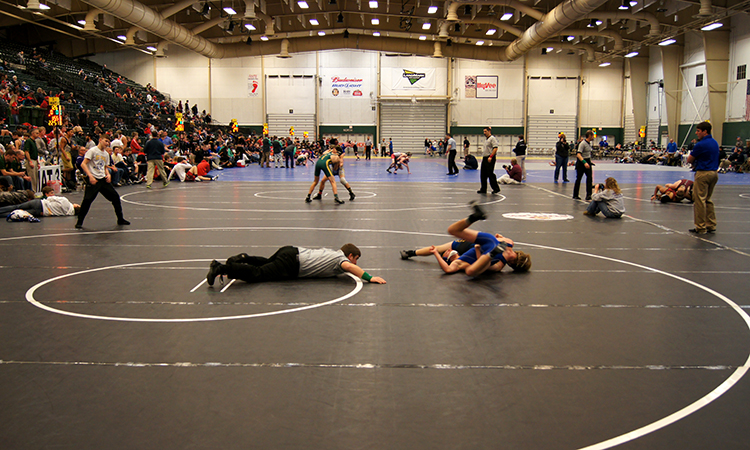 Wrestling at the fairgrounds background image